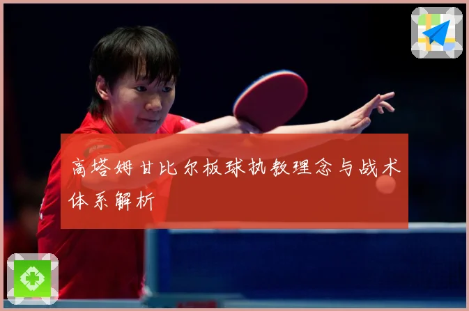 高塔姆甘比尔板球执教理念与战术体系解析