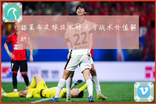 赫莱布足球技术特点与战术价值解析