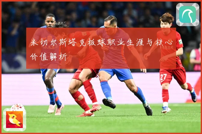 米切尔斯塔克板球职业生涯与核心价值解析