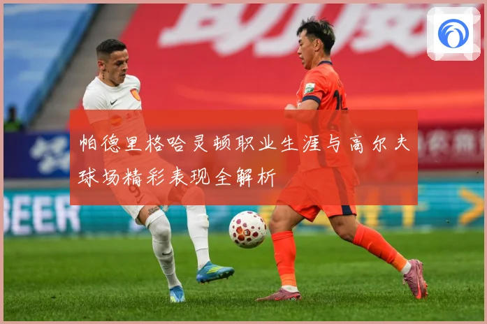 帕德里格哈灵顿职业生涯与高尔夫球场精彩表现全解析