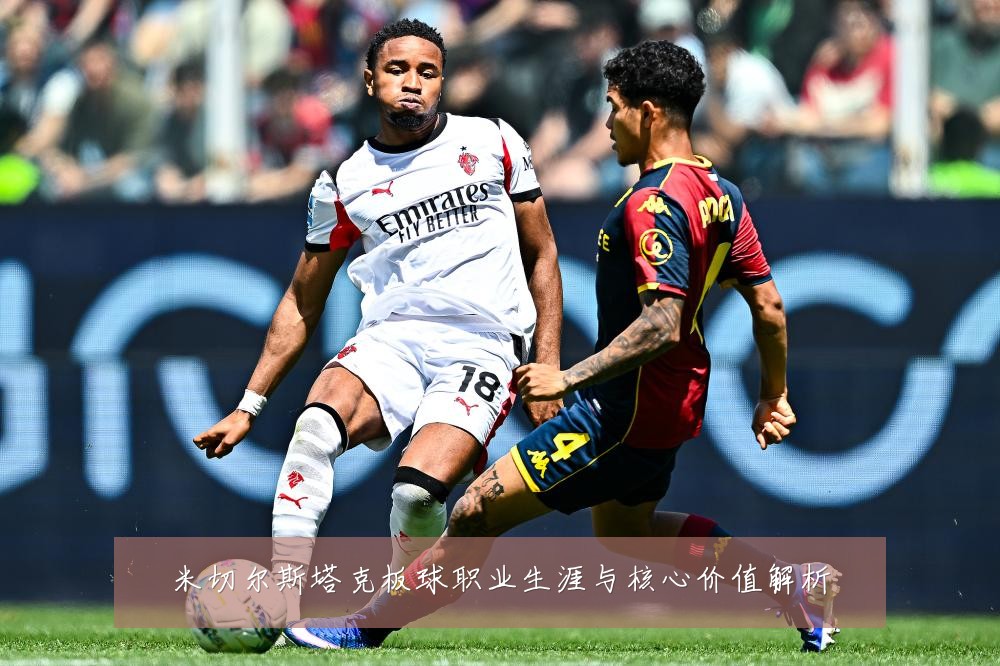 米切尔斯塔克板球职业生涯与核心价值解析